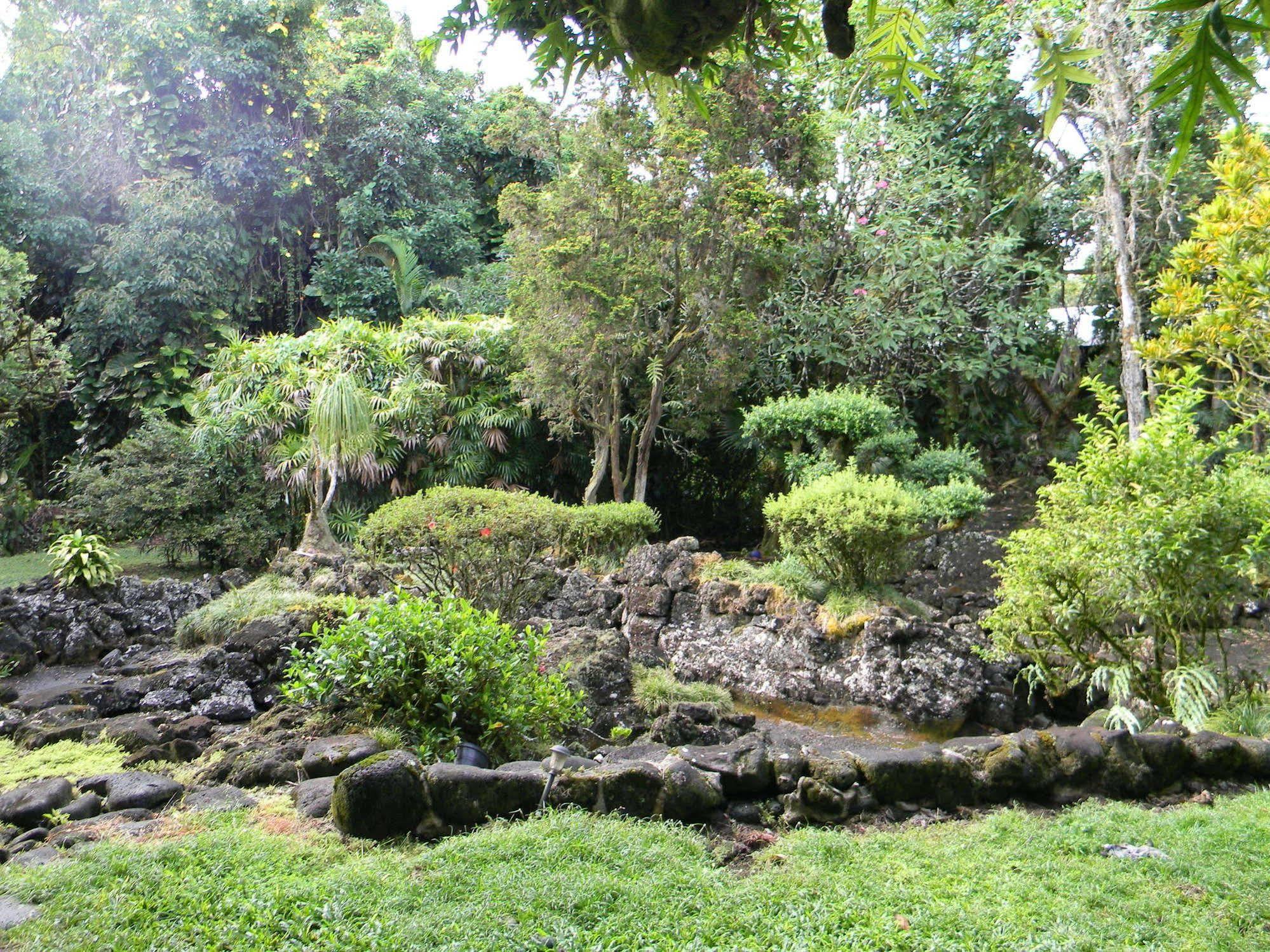 Maureen'S Bed And Breakfast Hilo Exteriör bild